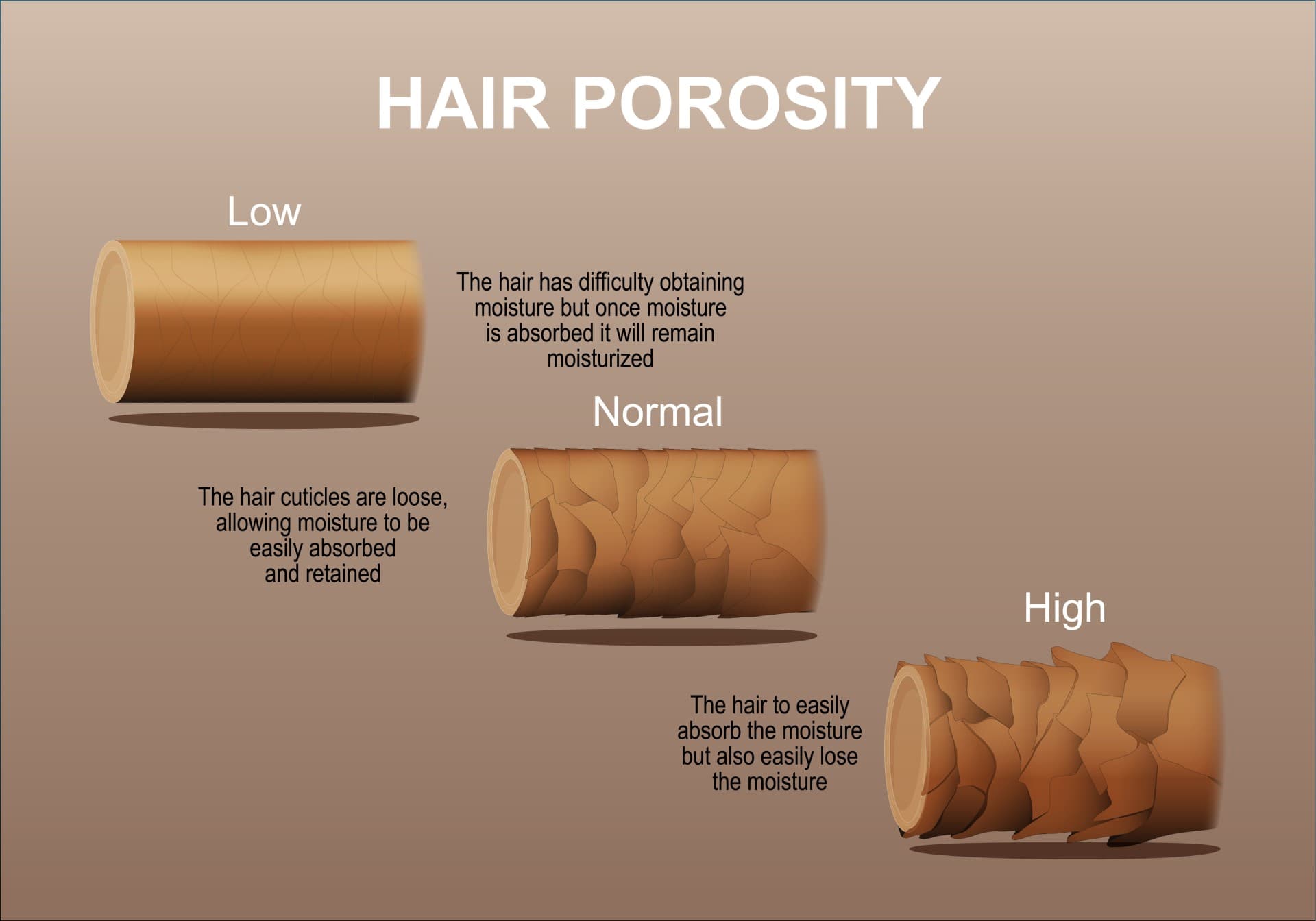 Should hair porosity affect how you care for your hair
